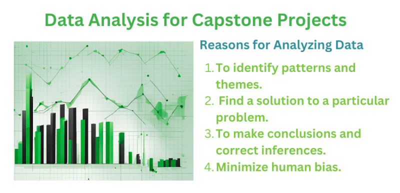 Capstone statistics consultation services